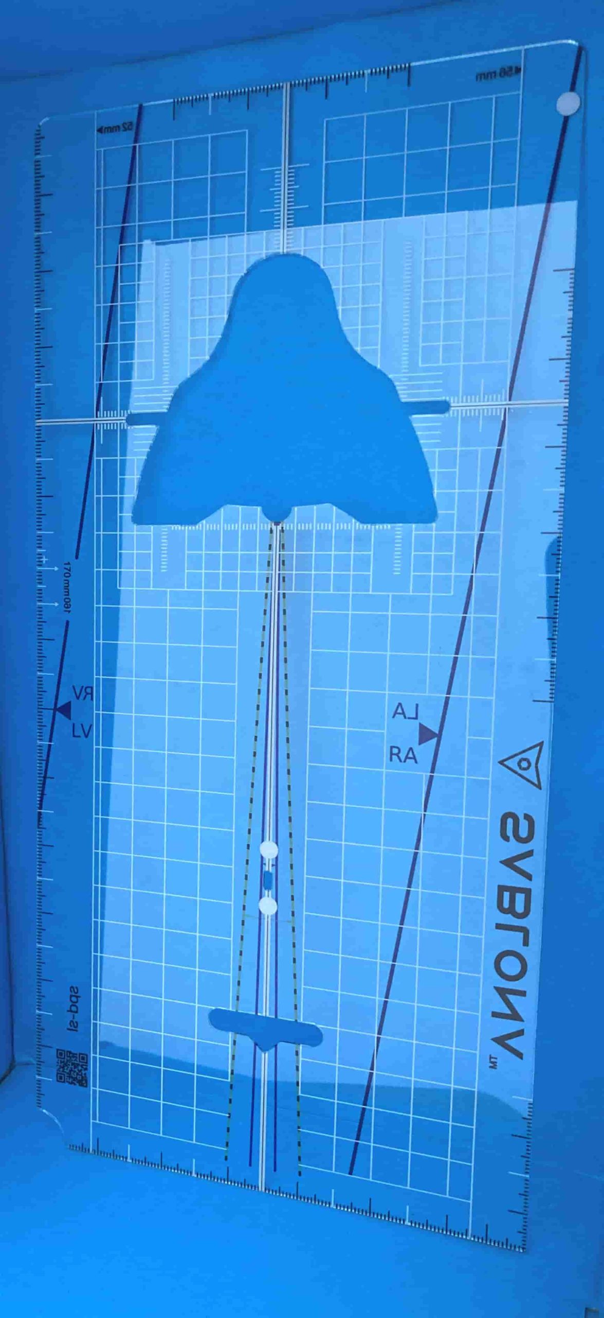 SPD-SL : Shimano Rennrad